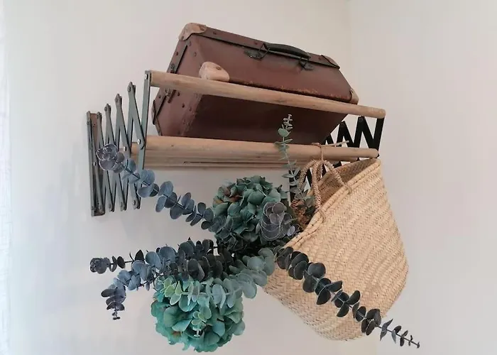 Amor A Mar سيسيمبرا